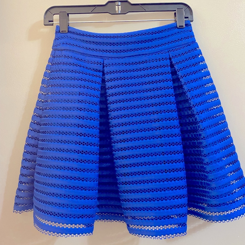 Royal Blue Mesh Fit & Flare Mini Skirt